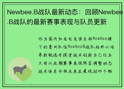 Newbee.B战队最新动态:回顾Newbee.B战队的最新赛事表现与队员更新