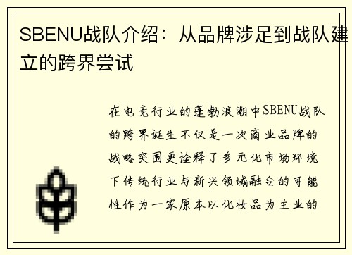 SBENU战队介绍:从品牌涉足到战队建立的跨界尝试